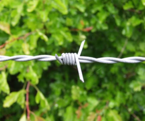 Barbed Wire Fence