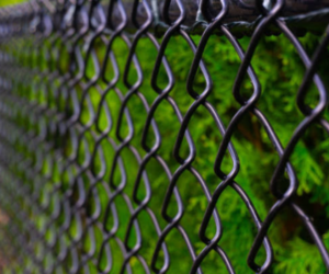 Chain Link Fence