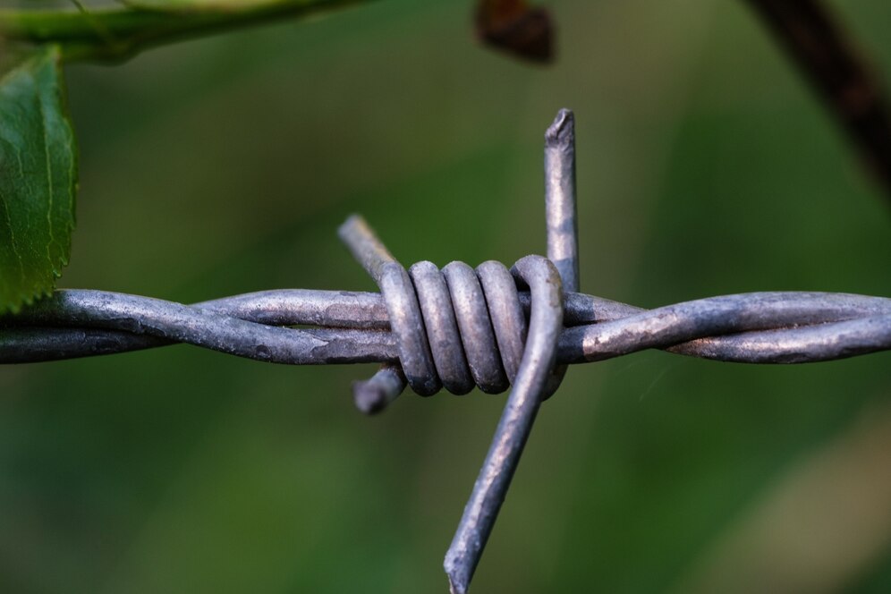 Barbed Wire Fence - Image 2