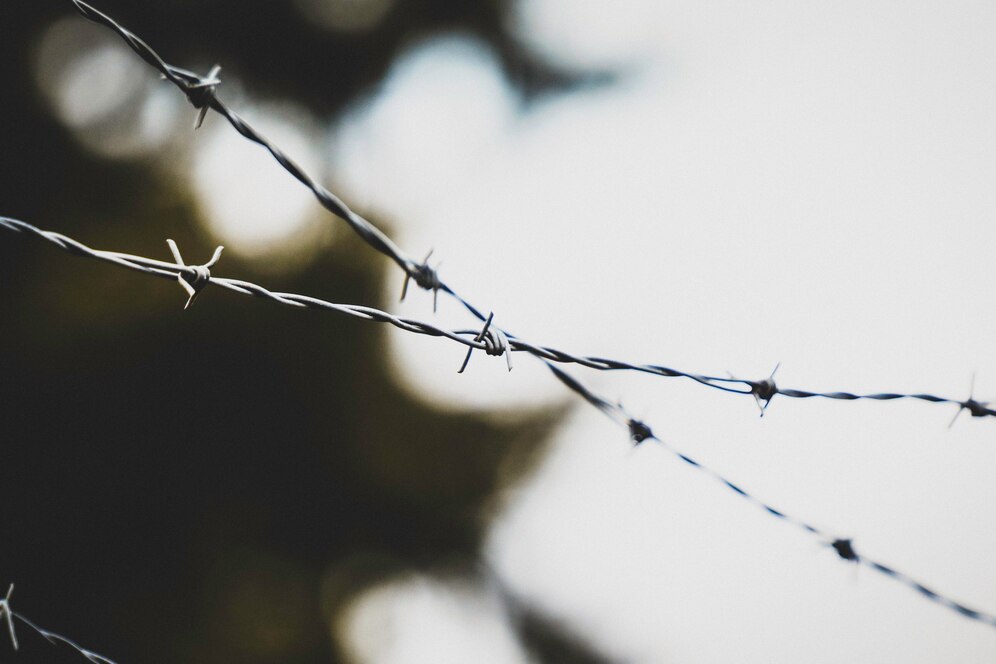 Barbed Wire Fence - Image 4